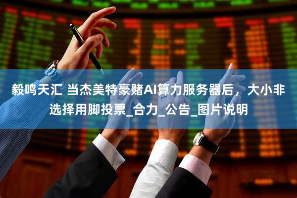 毅鸣天汇 当杰美特豪赌AI算力服务器后，大小非选择用脚投票_合力_公告_图片说明