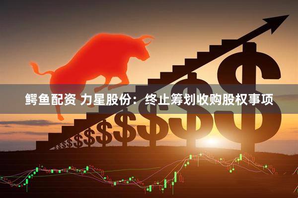 鳄鱼配资 力星股份：终止筹划收购股权事项