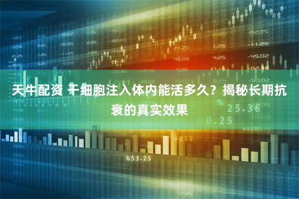 天牛配资 干细胞注入体内能活多久？揭秘长期抗衰的真实效果