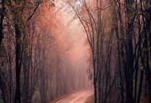 实盘配资平台app下载:股市中的杠杆-稳中求进 稳中提质 迈向高质量发展新征程——交通银行发布2025年半年度业绩